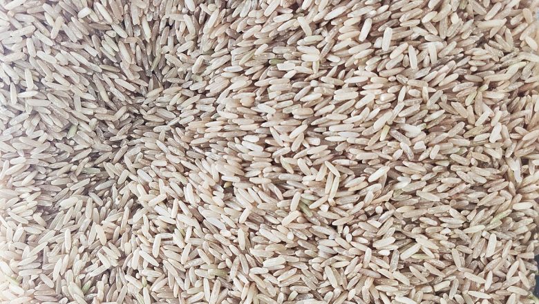 Brasil avalia isentar temporariamente importação de arroz, milho e soja