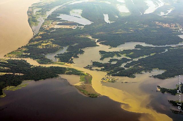 Mourão vê bioeconomia como melhor modelo de negócio para a Amazônia