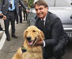 Bolsonaro fará ‘enquete’ sobre pena para maus-tratos a animais