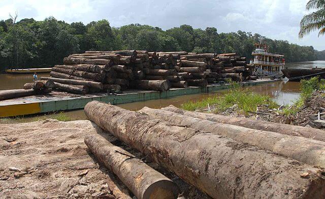 Desmatadores da Amazônia têm R$ 570 milhões bloqueados pela AGU