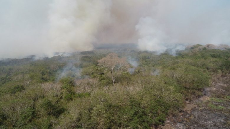 Fogo que destruiu 25 mil hectares no Pantanal de MS começou em grandes fazendas, aponta investigação da PF