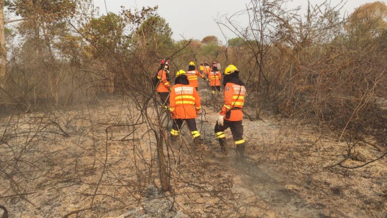 Mato Grosso do Sul vai receber mais R$ 1,35 milhão para combate a incêndios florestais