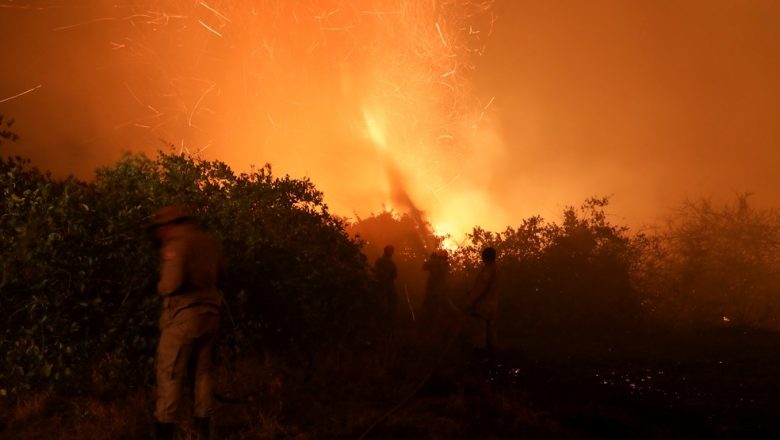 Perícia aponta que incêndios no Pantanal de MT foram provocados por ação humana