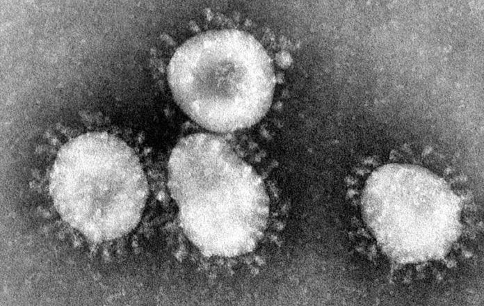 Anticorpos contra coronavírus duram pelo menos 7 meses, aponta estudo dos EUA