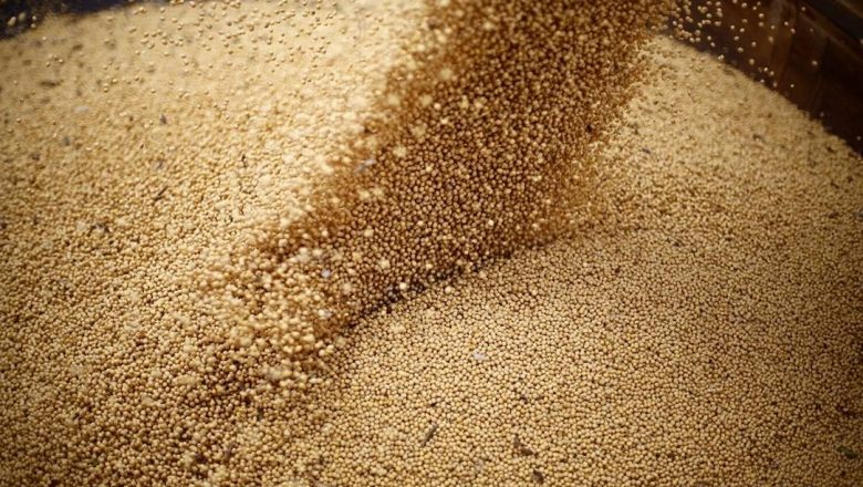Maior produtor mundial, Brasil terá importação recorde de soja, que pode chegar a 3 milhões de toneladas