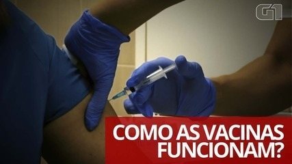 Anvisa suspende temporariamente teste da vacina Coronavac, que será produzida pelo Butantan – G1