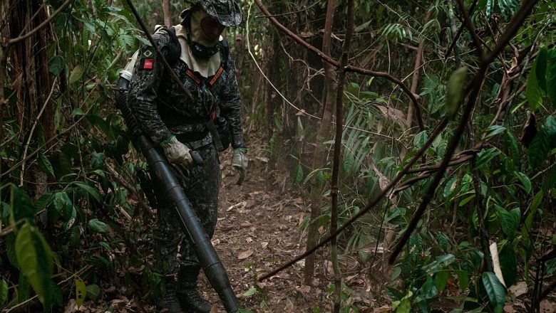 Forças Armadas ficarão na Amazônia até o fim de abril