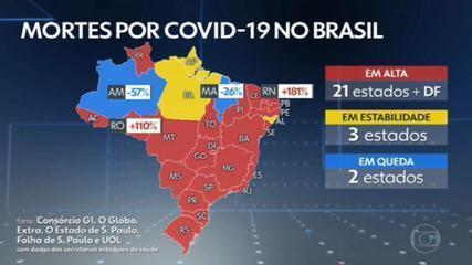 Brasil se aproxima de 180 mil mortos por Covid-19 com alta nas médias móveis de óbitos e casos – G1