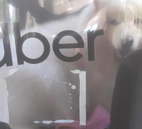 História comovente: motorista de aplicativo salva cadela de ser sacrificada