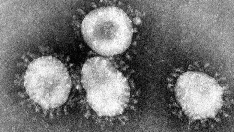 Pessoas que foram infectadas pela Covid-19 podem ter imunidade ao vírus por 5 meses, aponta estudo