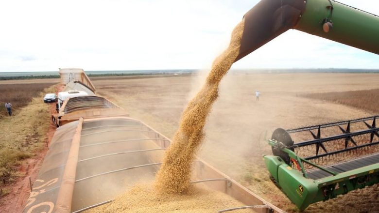Exportações da soja brasileira começam a se recuperar em março