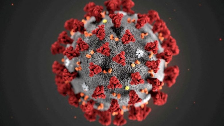 Novo coronavírus causa 17 mil novas infecções em 24h – ISTOÉ Independente – ISTOÉ